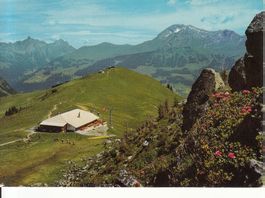 Lenk Leiterli 1979