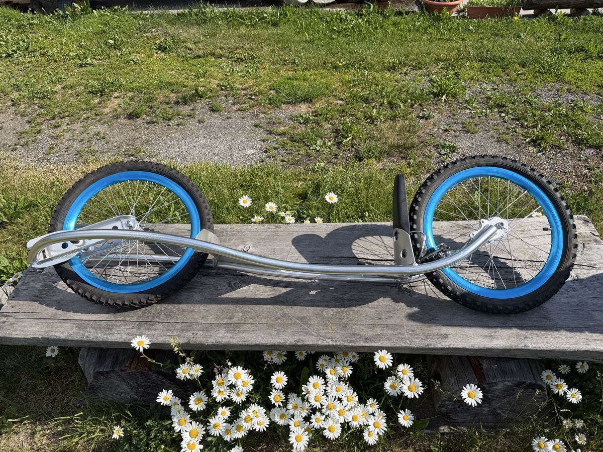 Skateboards: Dirt Surfer Rollerboard, guter Zustand – Usato da Davos Wolfgang venduto da nostyle