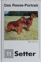 Das Rasse-Portrait Setter