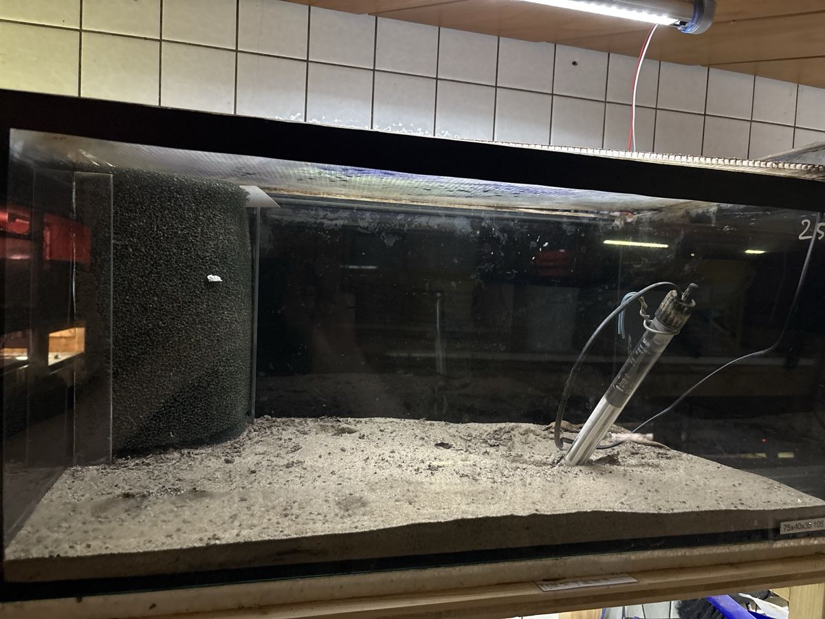 Aquarium: Aquarium Zuchtregal – Gebraucht aus Gais von Marcogais 1