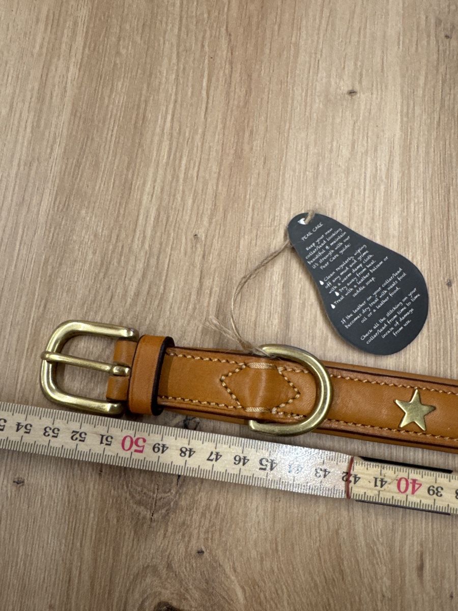 Leine & Halsband: Leder Hundehalsband mit Sternen – Neu und originalverpackt aus Büriswilen von brudi1990 1