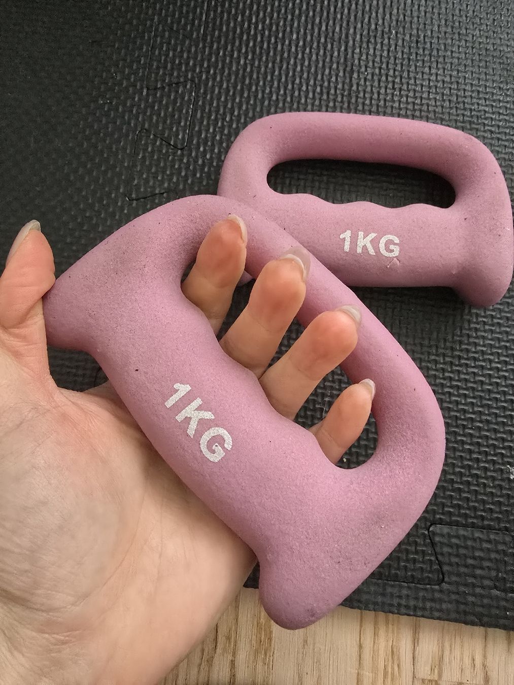 Manubri & Pesi: Kurzhantel - 1kg – Usato da Rickenbach b. Wil venduto da VeryLovelyThings 2