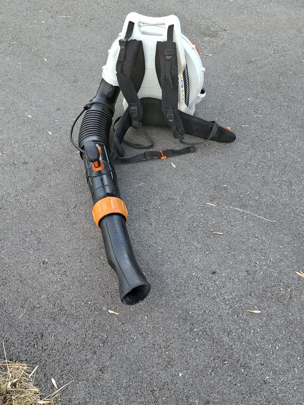 Stihl Laubbläser & Laubsauger: LAUBBLÄSER BR 700 – Gebraucht aus Emmenbrücke von dsn15 6