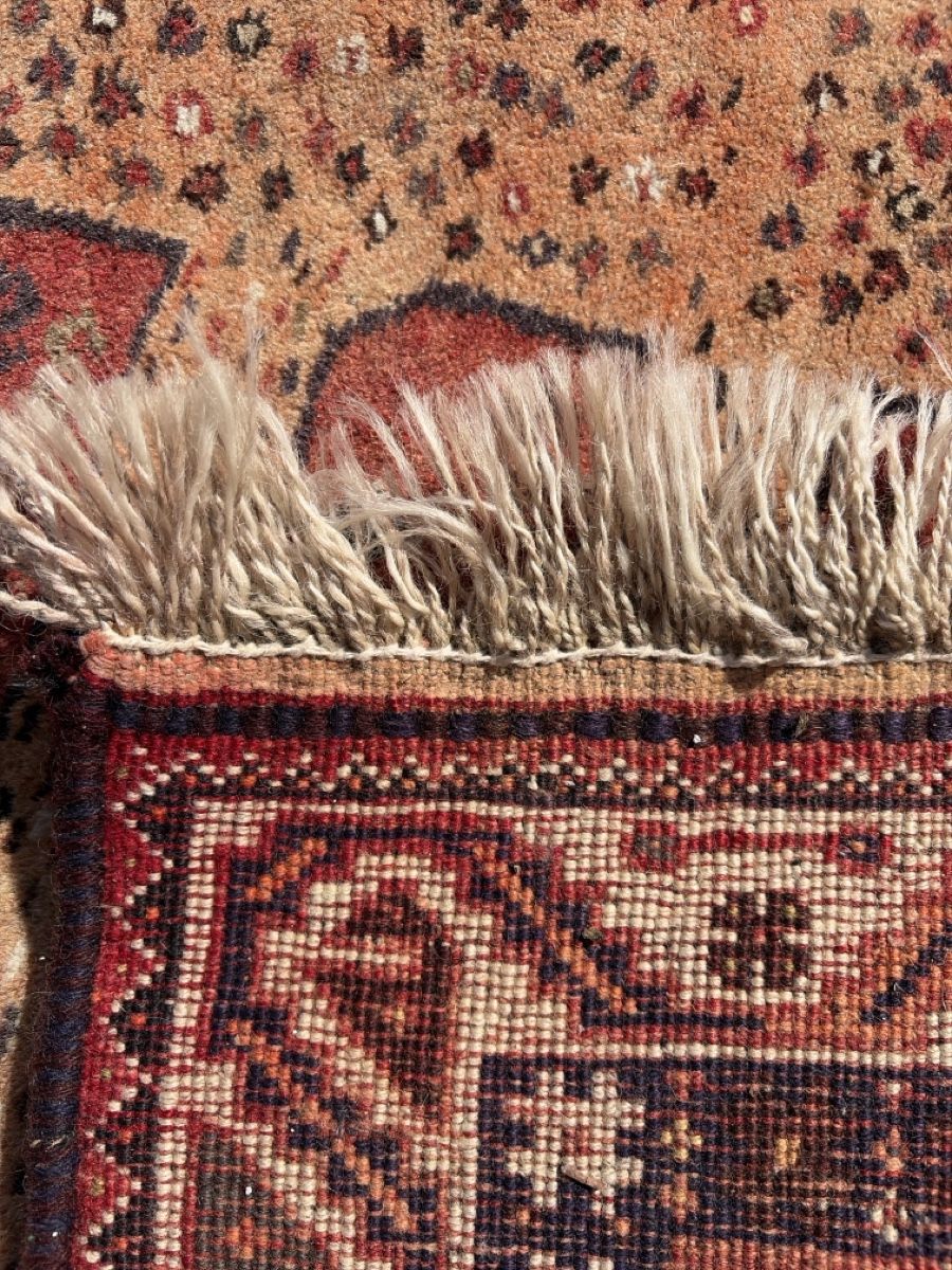 Tappeti: İran Quesghai  Löwen Teppich  – Usato da Wängi venduto da Tesimo 4