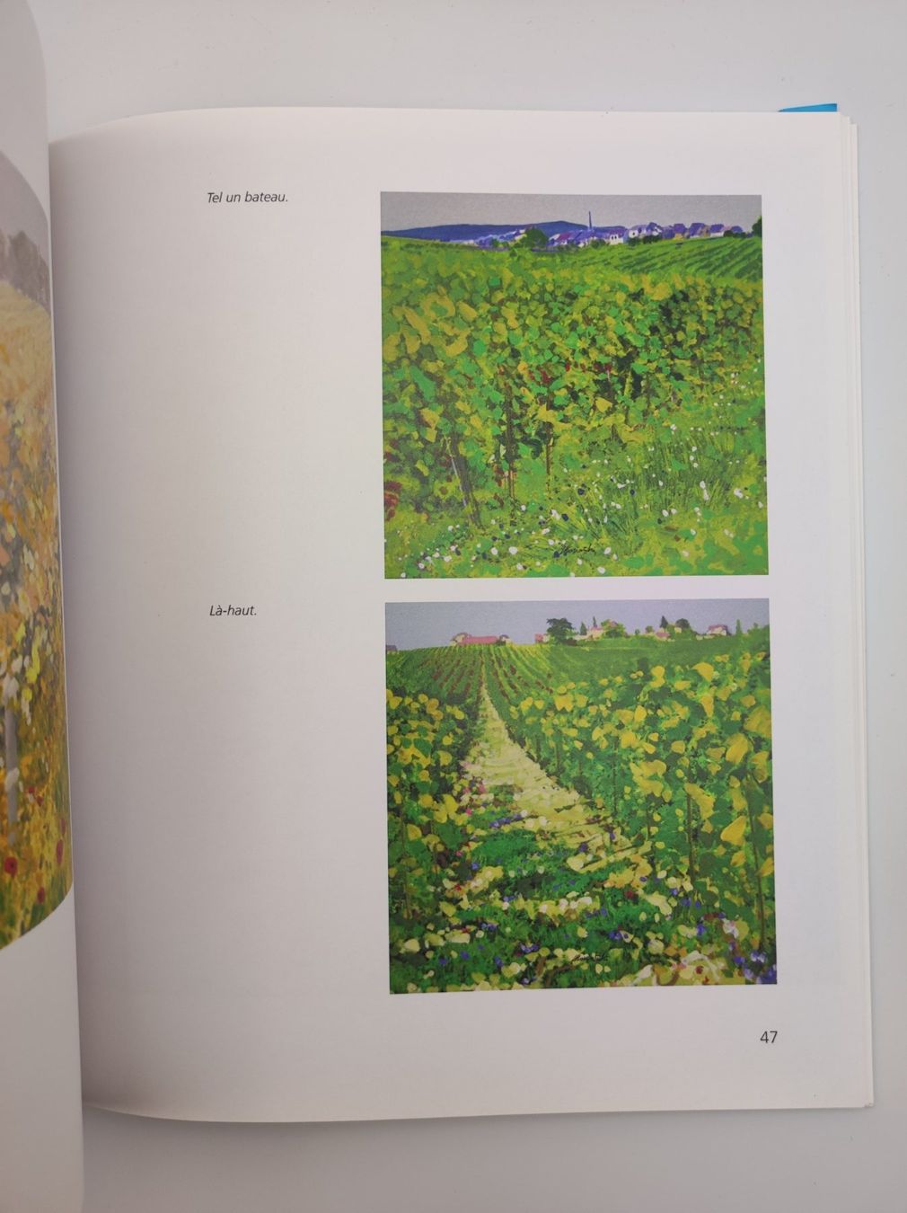 Libri: WEIN - PATRICE ALLANFRANCHINI – Usato da Goldach venduto da Gaip 1