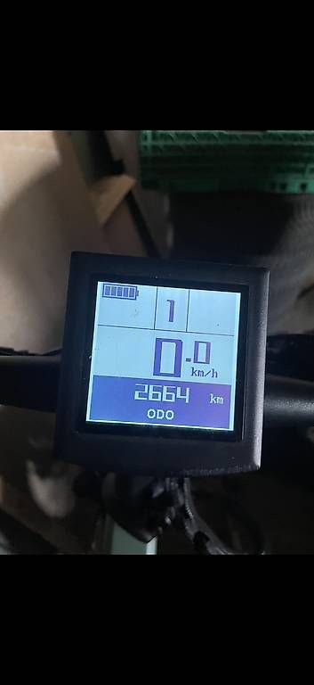 Velos: Mate X Ebike – Gebraucht aus Hildisrieden von tomdur01 3