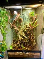 ExoTerra Terrarium 60×45×90cm inkl. Unterschrank und Zubehör