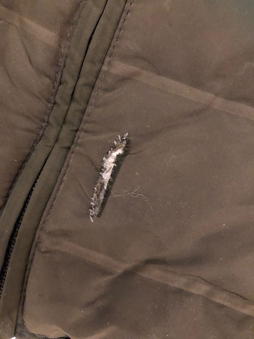 Giacche: Winterjacke Gr. XXL – Usato da Zell ZH venduto da Guffos 2