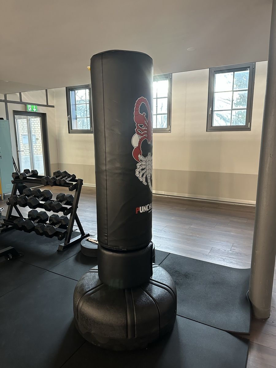 Sacchi da boxe: Gebrauchter Punching Bag. – Usato da Altendorf venduto da s.smjlv