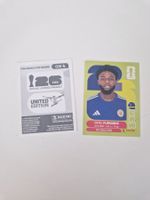 Panini Sticker CUW4