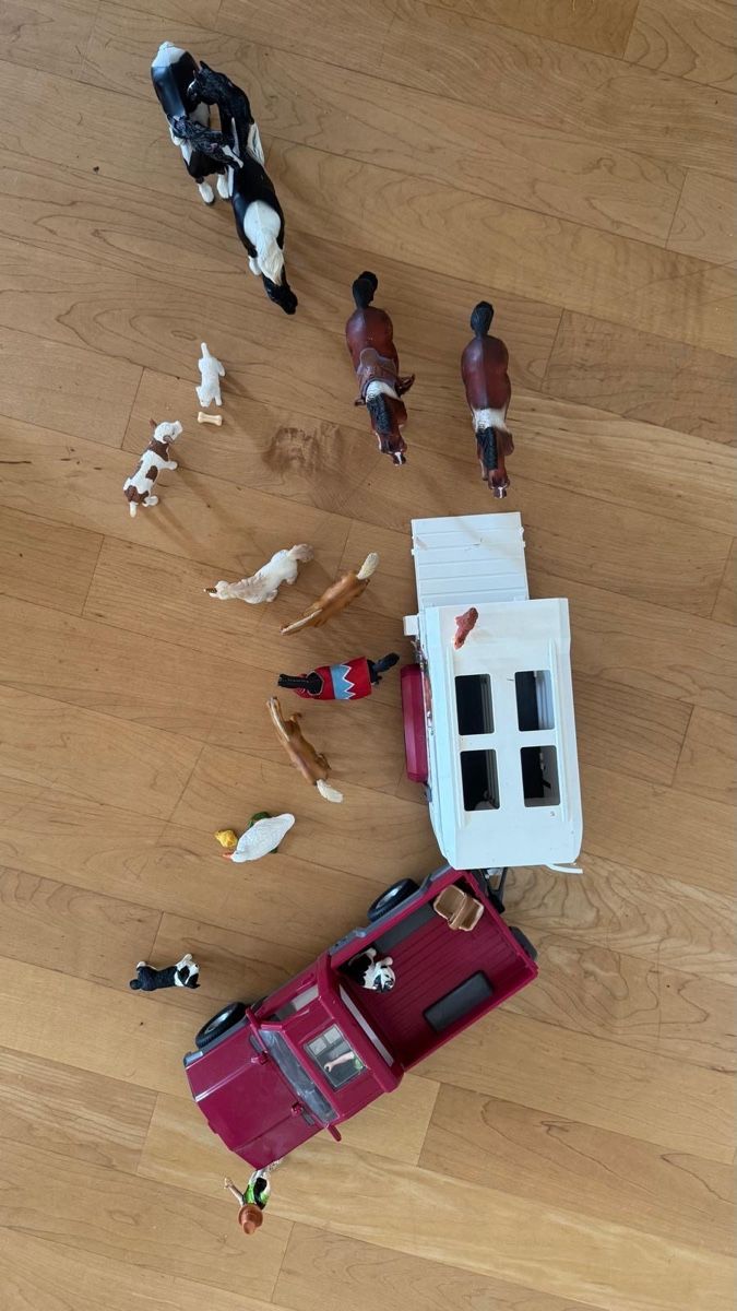 Schleich Giocattoli: Schleichset mit Jeep und Anhänger – Usato da Grüningen venduto da diking06 4