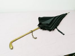 Eleganter antiker Damenschirm