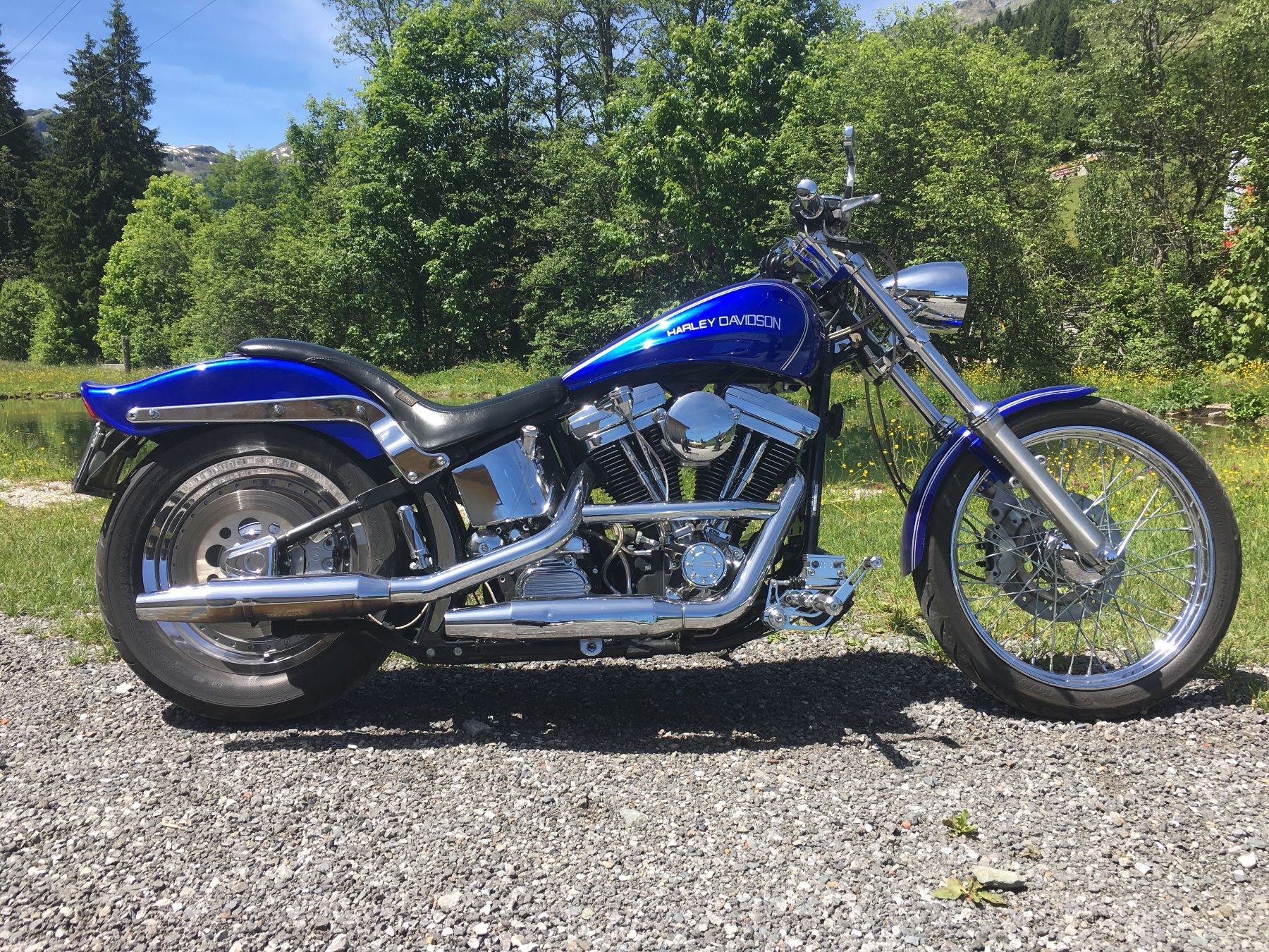 Harley-Davidson Cruisers: Harley Davidson Softail FXSTC – D'occasion à St. Gallen par Zulu88