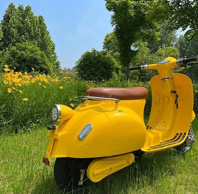 Scooter: Retro 1200W-3000W EEC-Certified Scooters – Nuovo (secondo la descrizione) da Geroldswil venduto da jos_5ccn 1