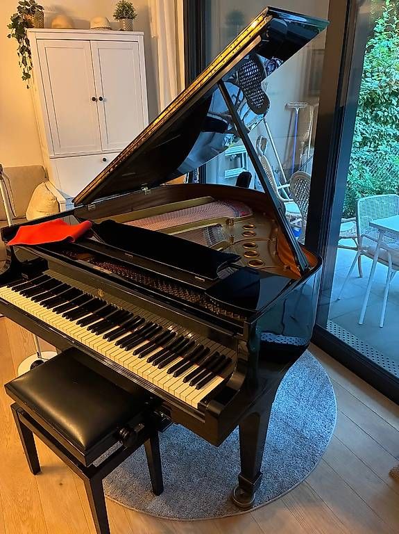 Musikinstrumente: Magnifique piano à queue Steinway & Sons 155 S – Gebraucht aus Le Grand-Saconnex von Jacoline 8