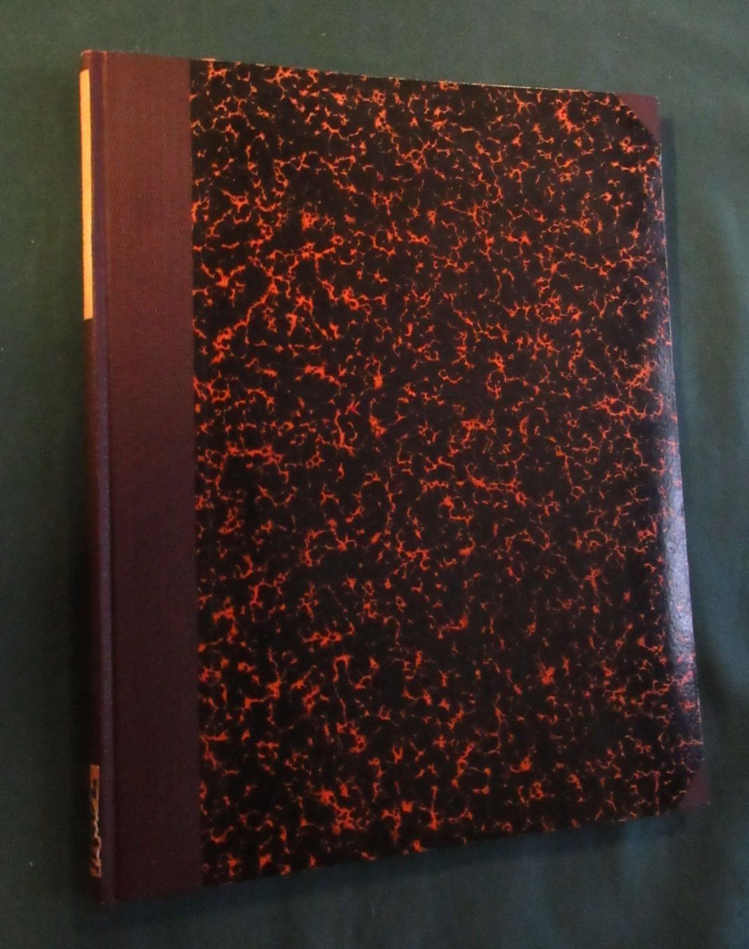 Libri: Violen Veilchen Botanik Gartenpflanzen – Usato da Hedingen venduto da Protechnica 5