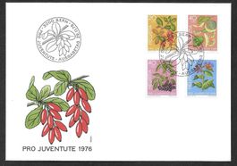 FDC Pro Juventute Serie 1976 J257 - J260 ET Bern 29.11.1976