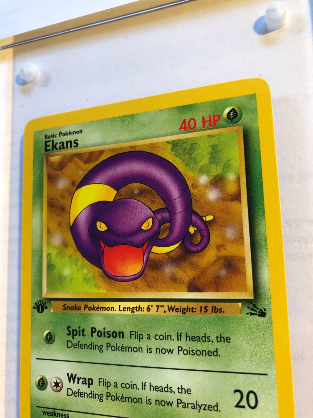 Sammelbilder & Trading cards: Ekans 1st Fossil - NM - ab 1.- – Gebraucht aus Giubiasco von dan_pr8b 3
