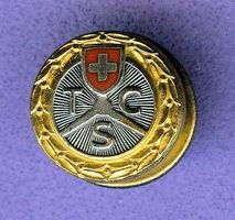 TCS   Logo  silbern