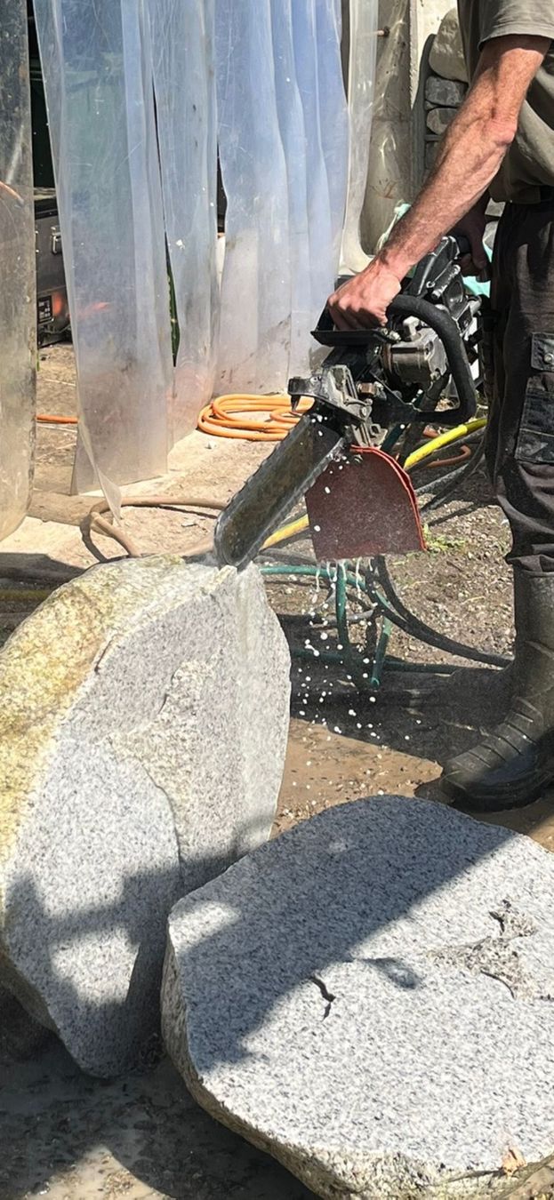 Toutes les machines: Stein säge motorsäge – D'occasion à Signau par reb_xv5t 5
