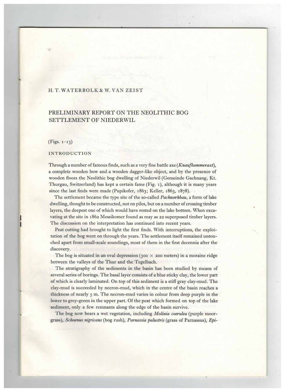 Libri: Archäologie: Niederwil TG – Usato da Biel-Benken BL venduto da rud_yc8p