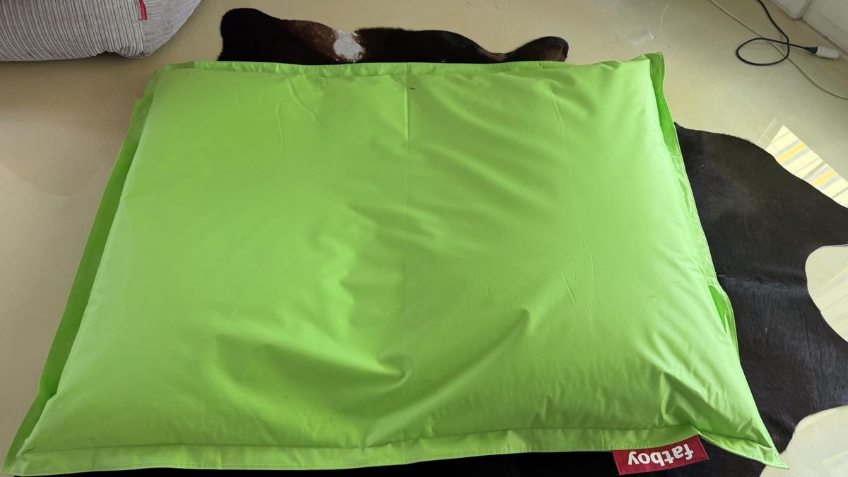 Fatboy Cuscini: fatboy Sitzsack grün – Usato da Kirchberg BE venduto da pimposchinder 4