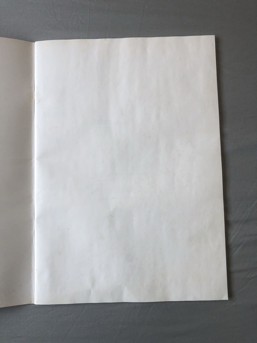 Foto & Immagini: Elvis Poster Book 1987 – Usato da Lenzburg venduto da Alfred1341 5