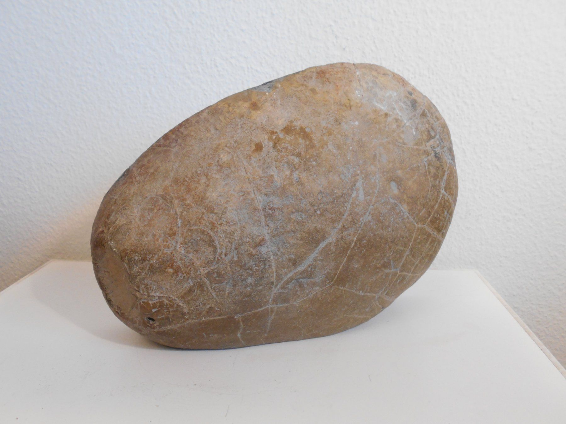 Minerali & Pietre curative: Septarie Top Stück ca. 5 kg – Nuovo (secondo la descrizione) da Zürich venduto da swisscristal01 1