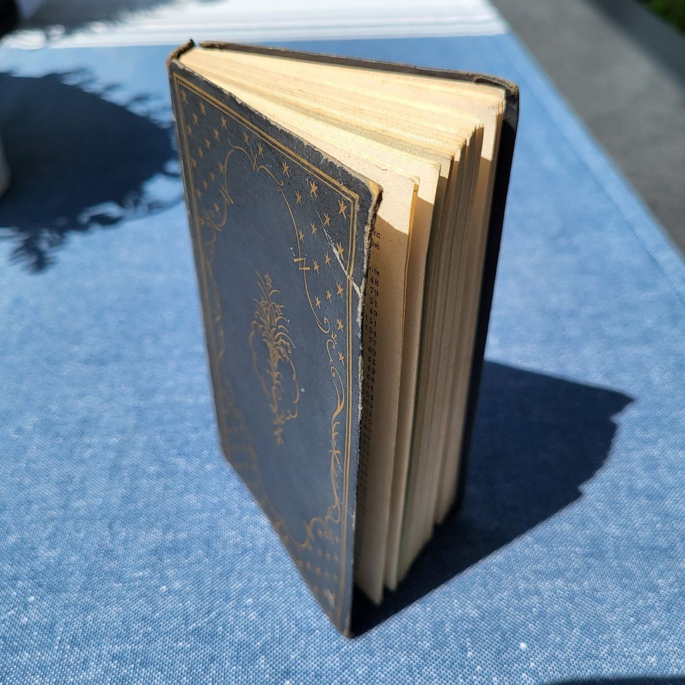 Libri: Sprachführer Spanisch von 1912 Metoula - Antik – Usato da Beringen venduto da Froggy4