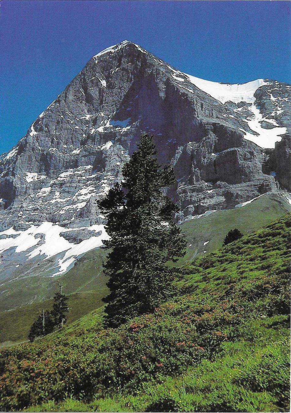 Ansichtskarten: Grindelwald Eigernordwand BE – Neu (gemäss Beschreibung) aus Rothrist von Stranglehold