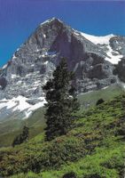 Grindelwald Eigernordwand BE