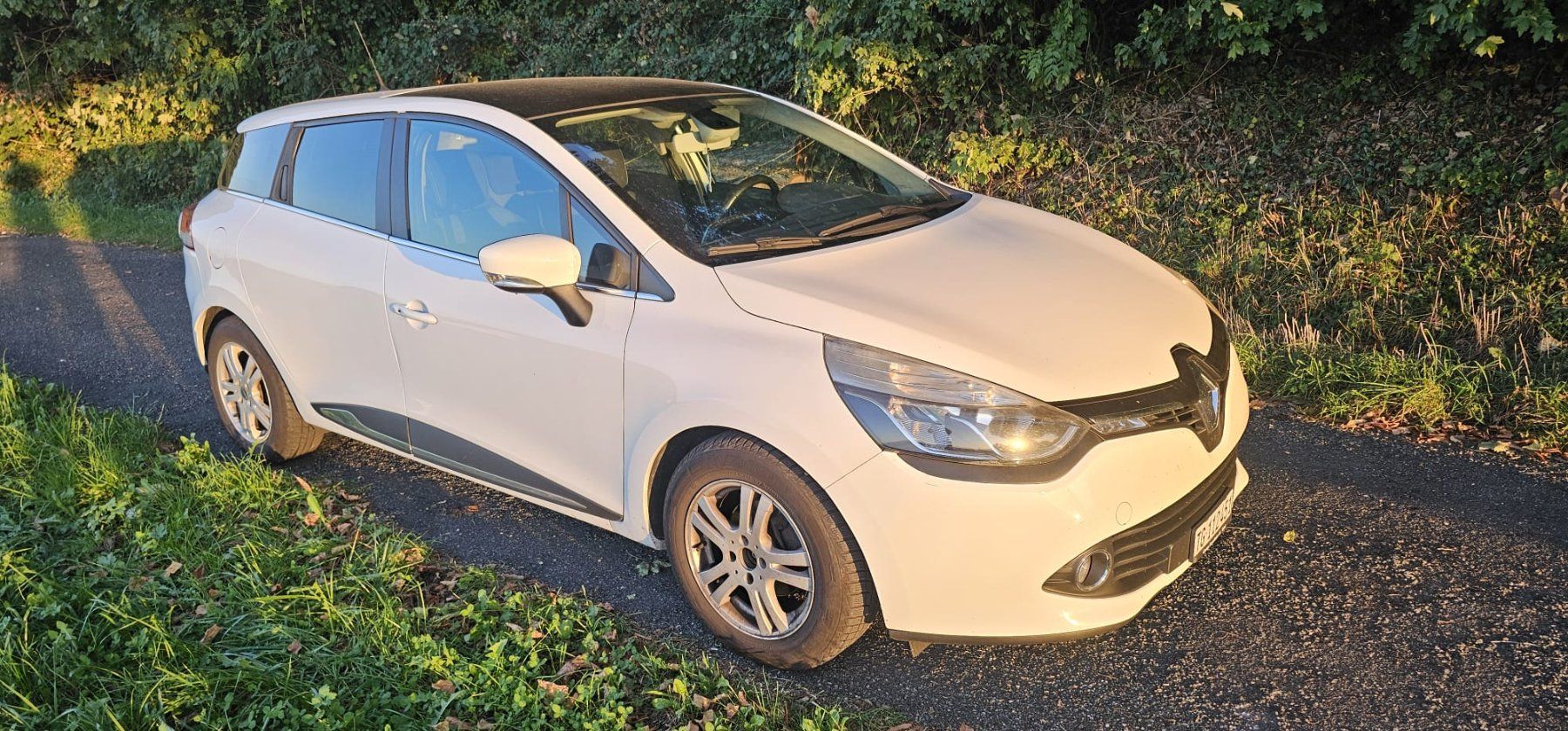 Renault Automobili: Renault Clio 1.5 dci – Usato da Frauenfeld venduto da deno_4161 2