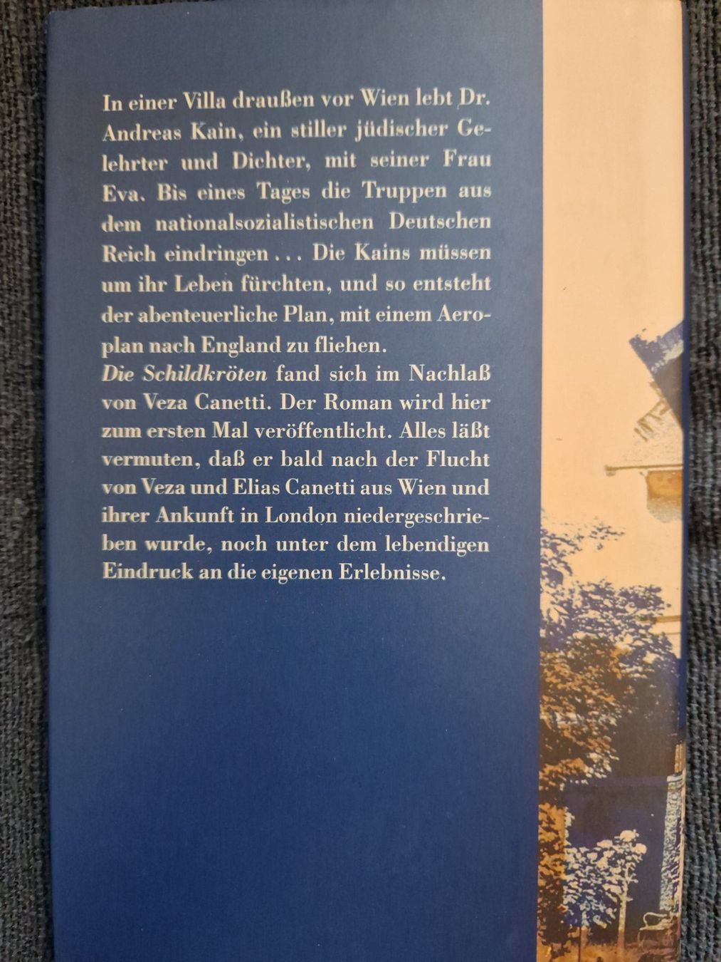 Libri: Veza Canetti - Die Schildkröten – Usato da Neuhausen am Rheinfall venduto da Alchimista 1