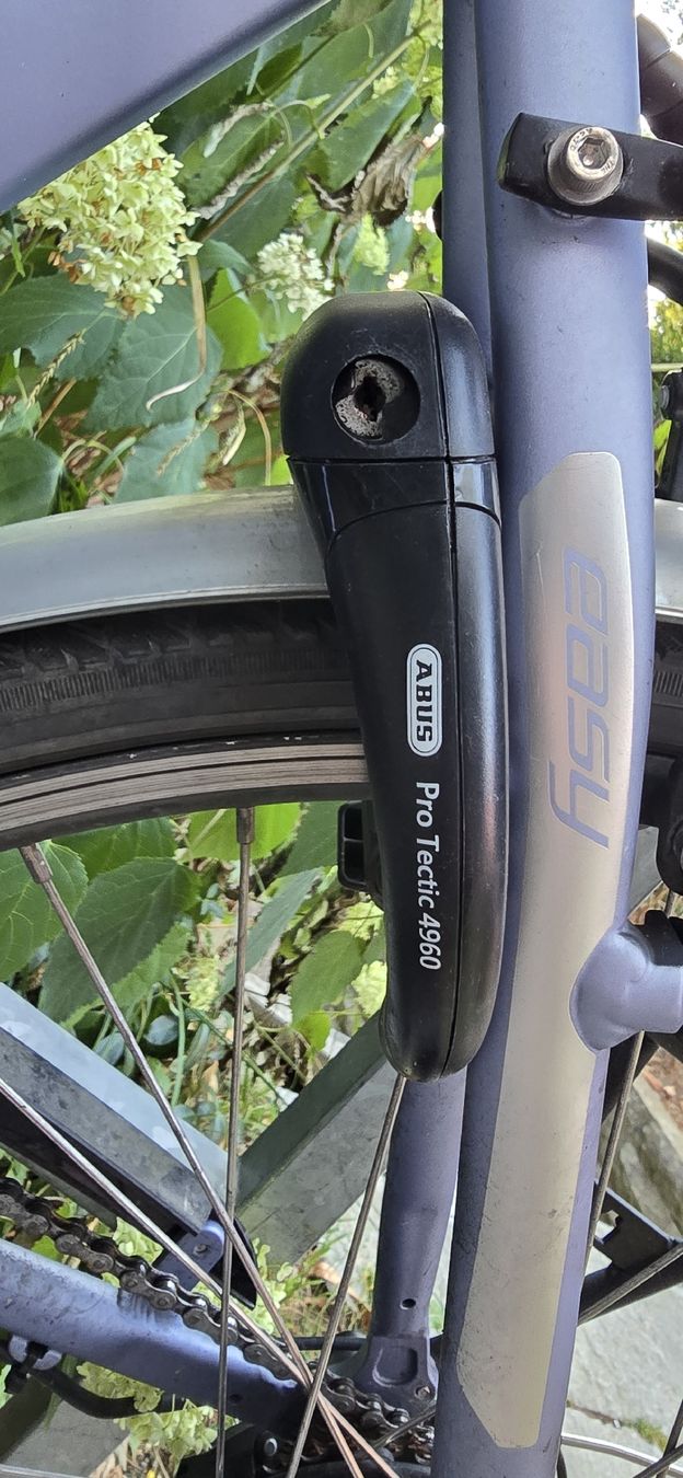 Leopard Biciclette: Leopard E-Bike EasyMan 28", 52 cm – Usato da Bern venduto da Fabiian12 4