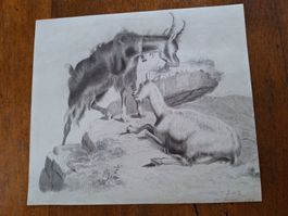 CHEVRES