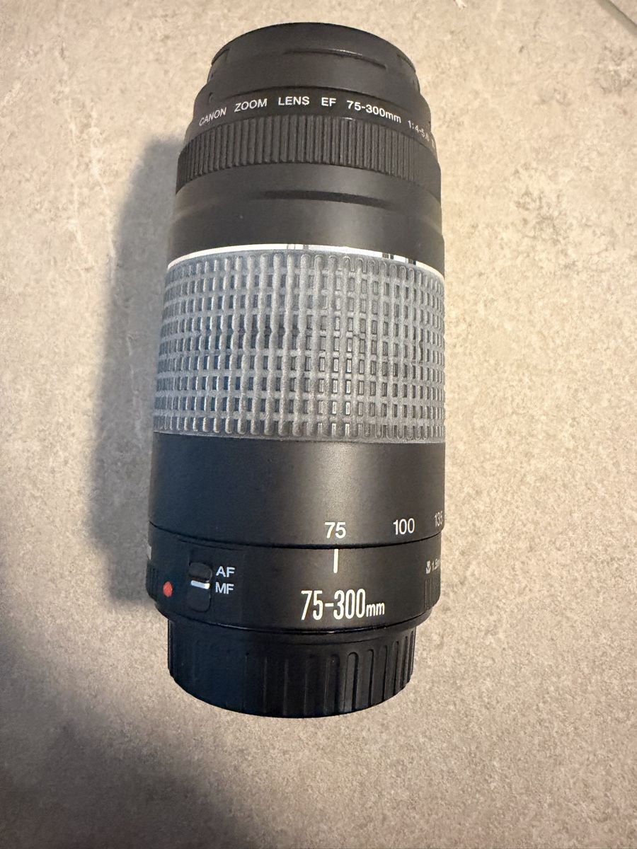 Canon Kamera: Canon 600d Spiegelreflexkamera mit 2 Objekten – Gebraucht aus Hägglingen von saragrey 4