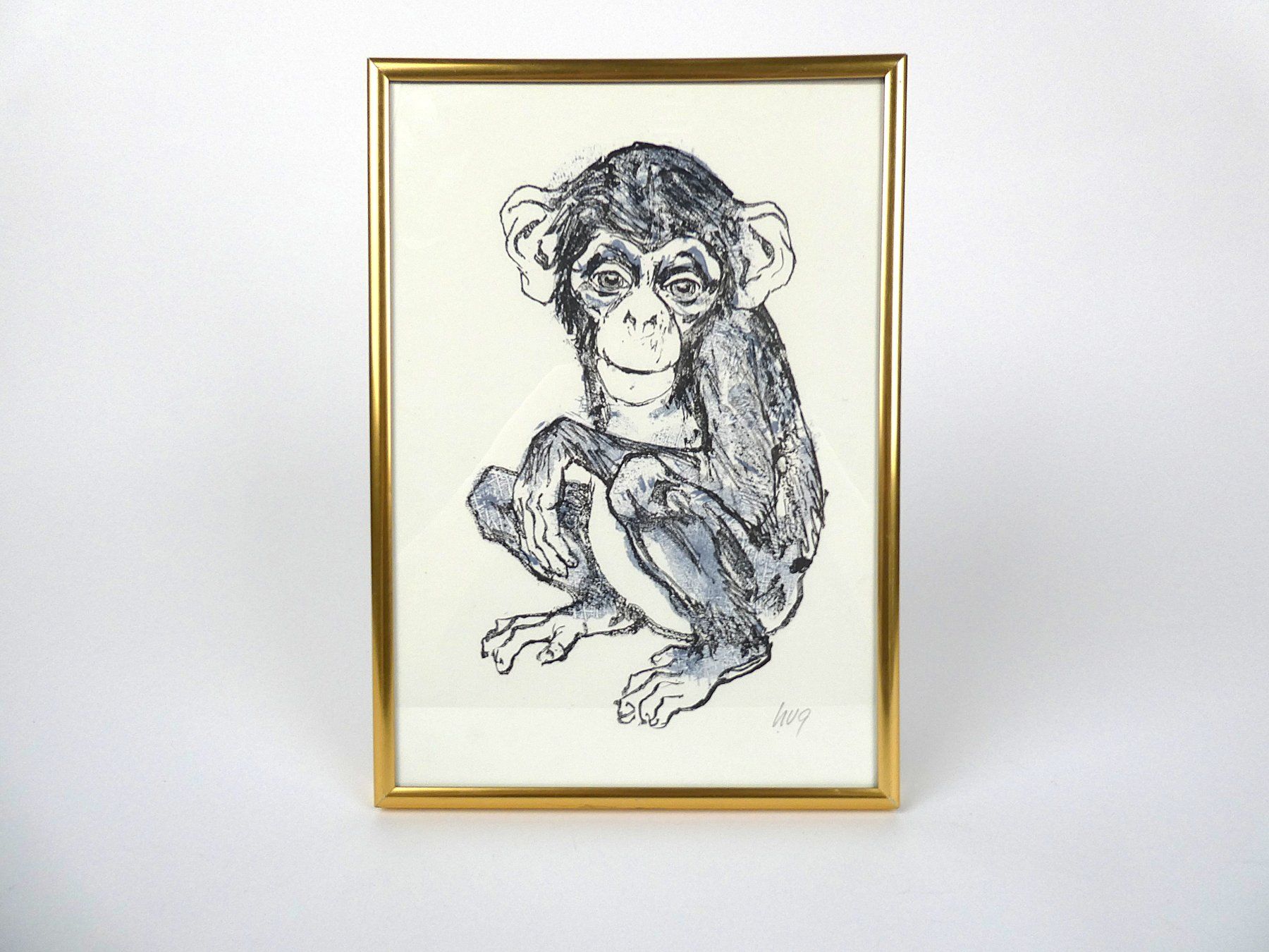 Grafiken & Lithographien: Originallithographie eines Affens, handsigniert - Fritz Hug – Gebraucht aus Urtenen-Schönbühl von Restwert_Schoenbuehl