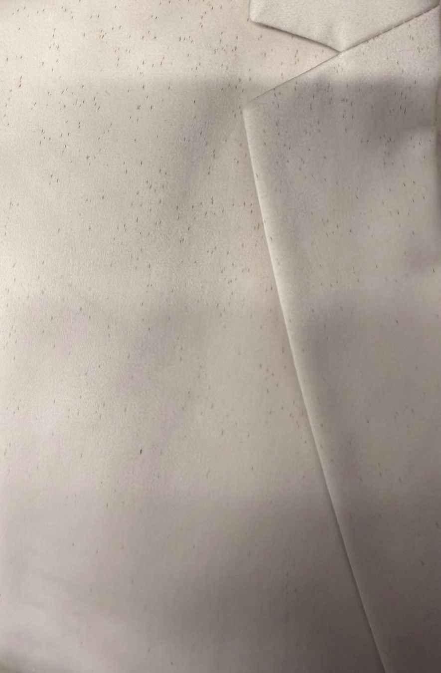 Hugo Boss Giacche: Hugo Boss Blazer – Usato da Wetzikon ZH venduto da KikiZu 4