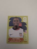 USA 12