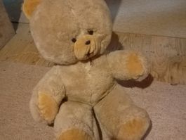 Teddybär