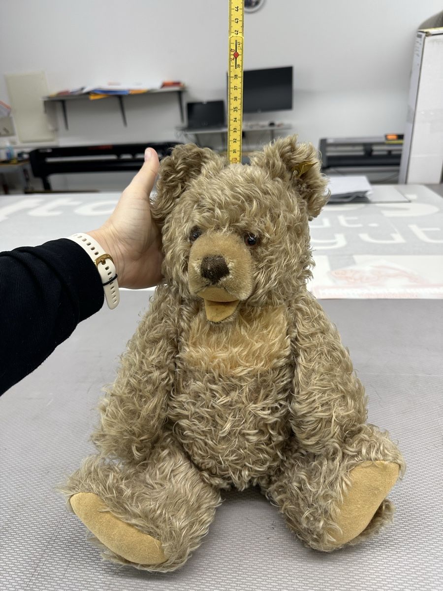 Steiff Giocattoli: Steiff Teddybär, Original – Usato da Montlingen venduto da Kingpisch 4