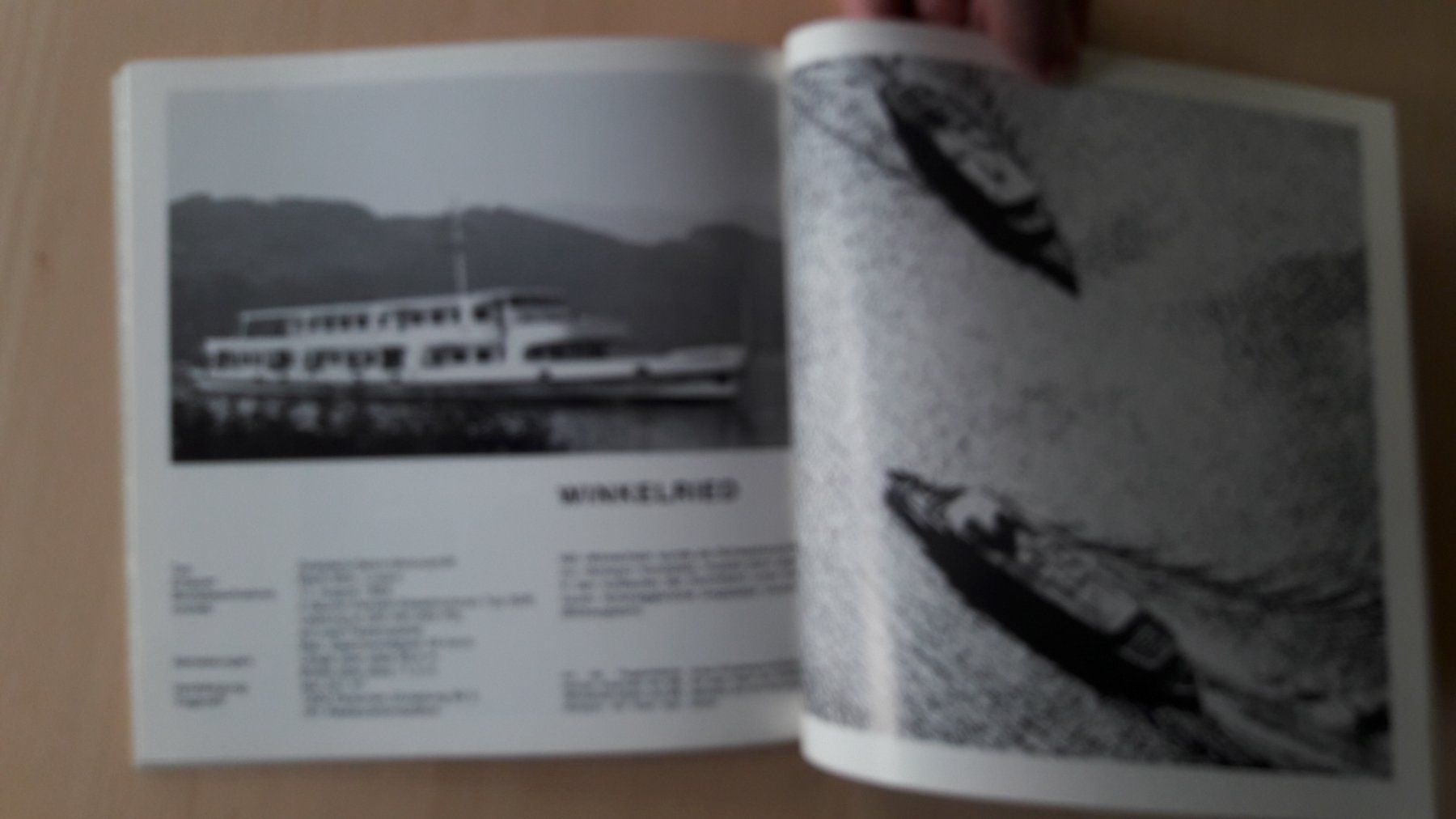 Libri: Buch : Vierwaldstättersee, unsere Flotte – Usato da Buttes venduto da Cafe2005 8