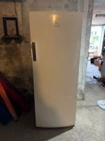 Electrolux -Kühlschrank (125)