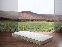 HIT: Aloe -VISCO -Matratze 90x200cm