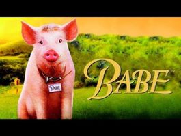 😎 Babe  Ein Schweinchen  PS2