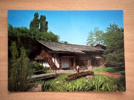 Ferienparadies Albergo Losone Postkarte guter Zustand