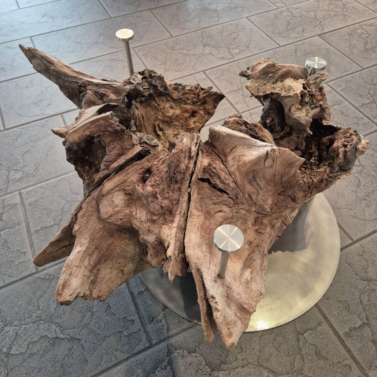 Tables: Salontisch aus Baumstrunk mit Glasplatte – Neuf (Voir description) à Ottenbach par WoodGallery 5