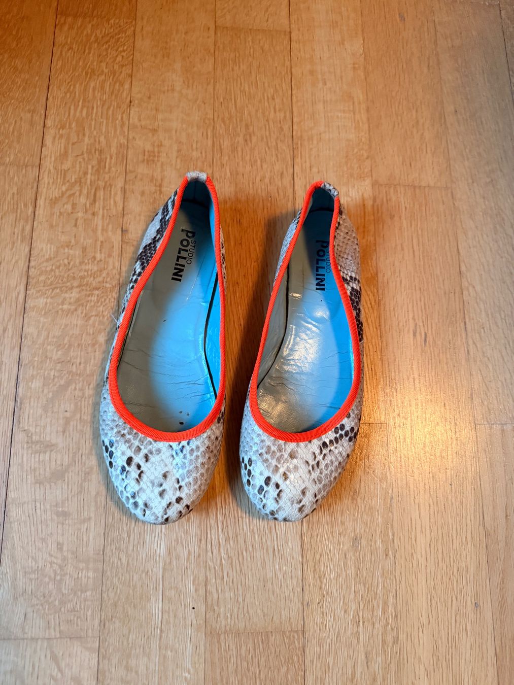 Damenschuhe: Ballerina - Studio Pollini Gr. 36 – Gebraucht aus Zürich von nirrek