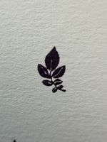 Stemplino Ministempel Blätterzweig – Pflanze / Natur