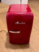 Mini Kühlschrank 220V/12V